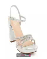 Silver Shimmer